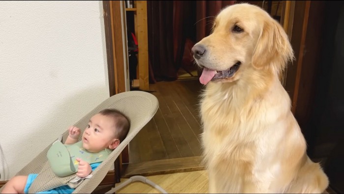 赤ちゃんの隣でお座りをする犬