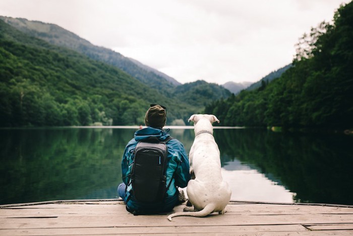 水辺に座る男性と犬の後ろ姿