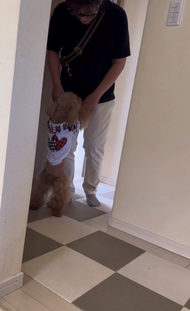 飼い主に飛びつく犬