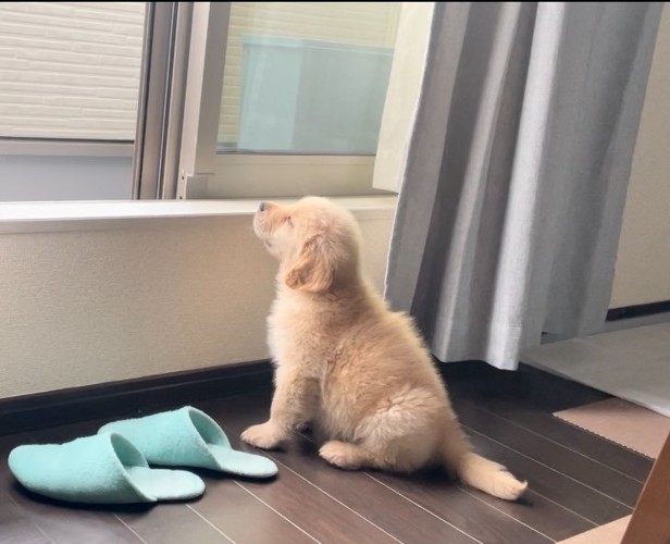 お迎え