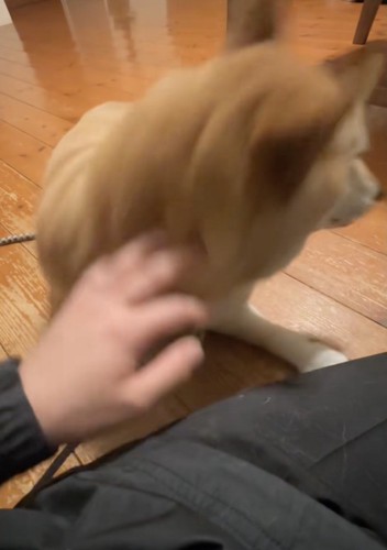 ザッ!
