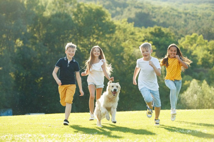 子供達とかけっこをして遊ぶ犬