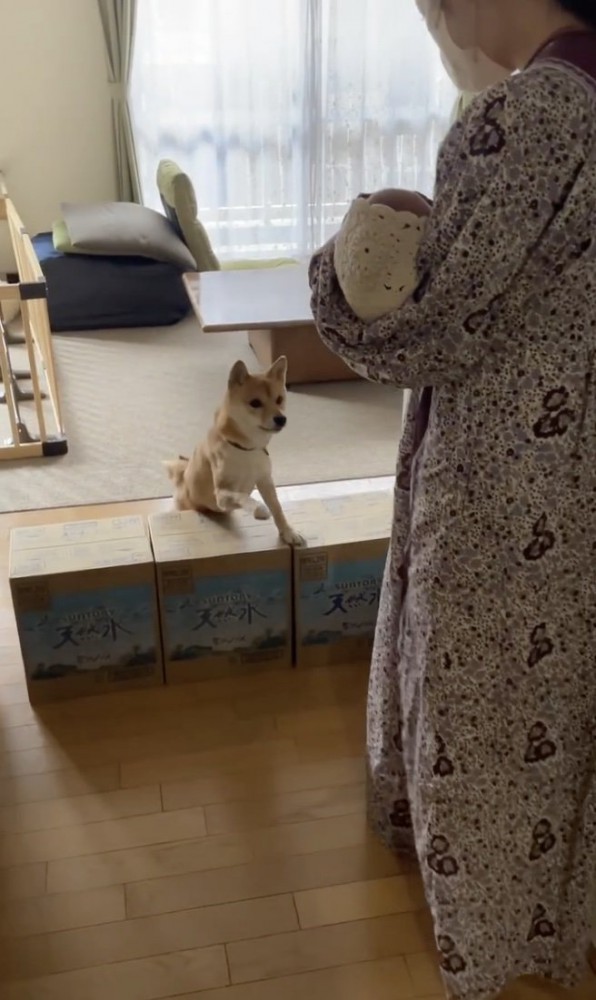 「きゅーん」