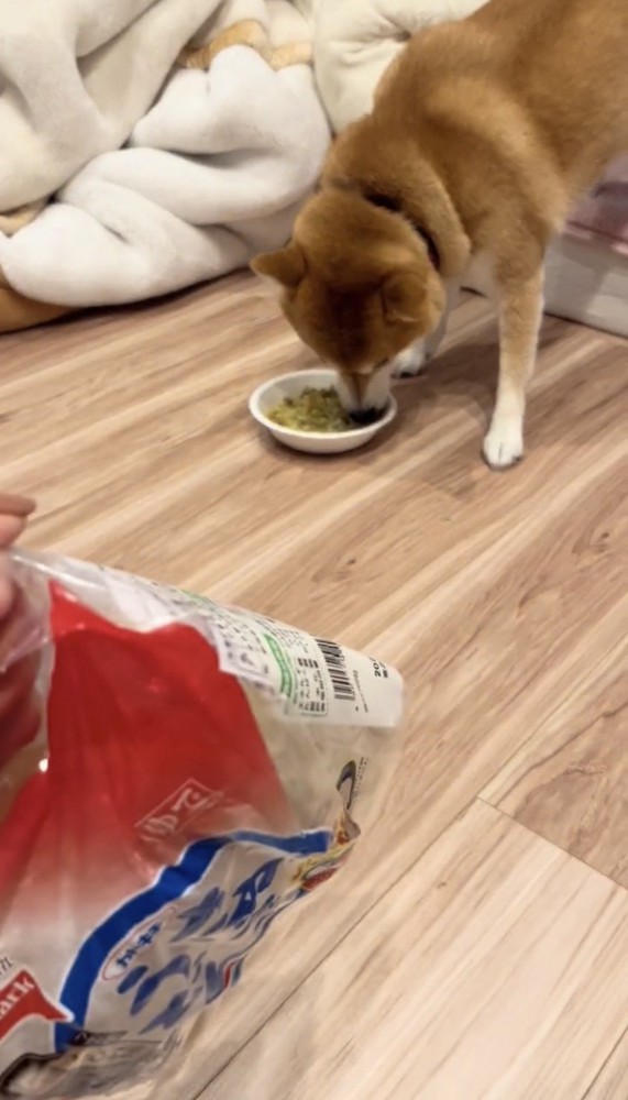 ごはんに夢中な犬と回収された冷凍うどん