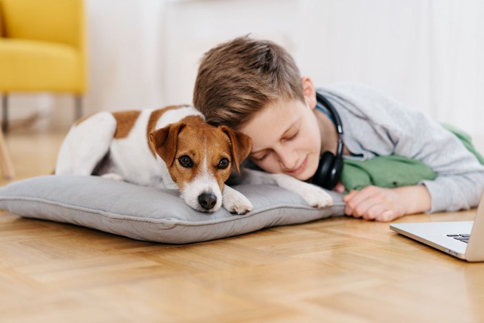 男の子に寄り添われる犬