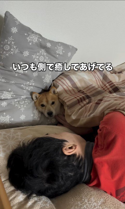 闘病中のパパさんに寄り添うたもつ君＆たら君6