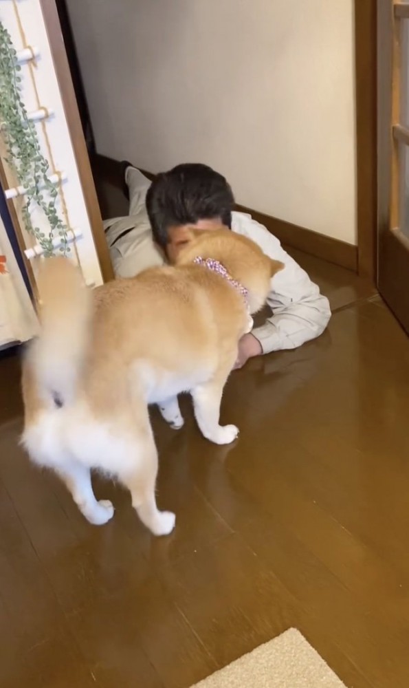 相思相愛！