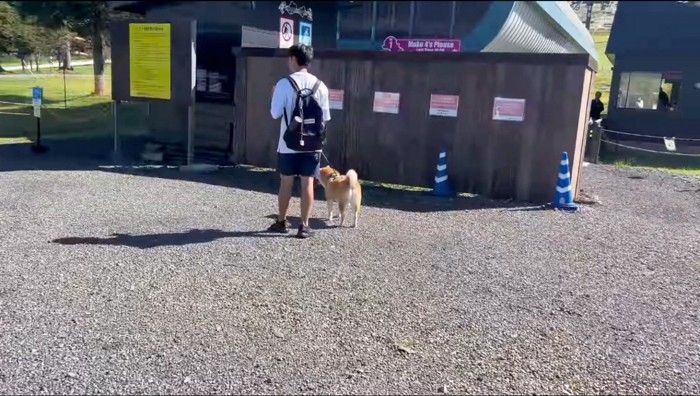 リフト乗り場の前に立つ柴犬と男性