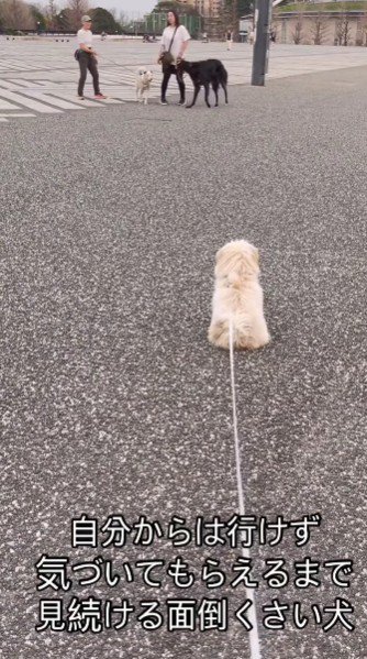 仲間に入りたそう