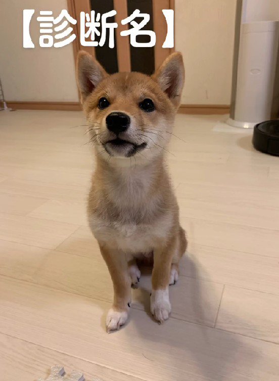 診断結果は…