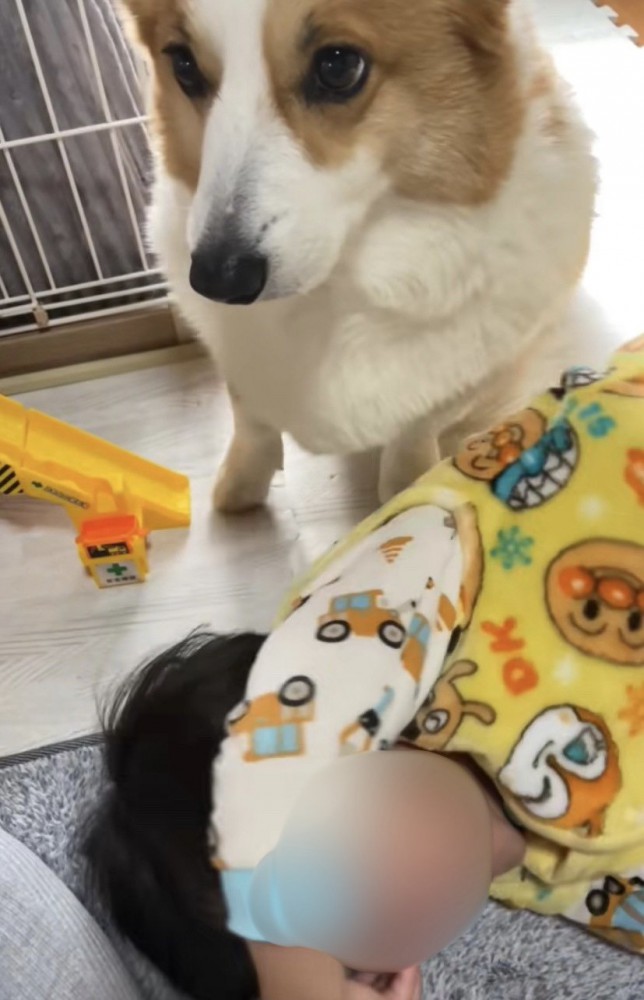 暴れる男の子