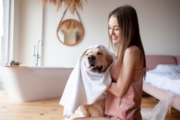 犬をお世話する女性