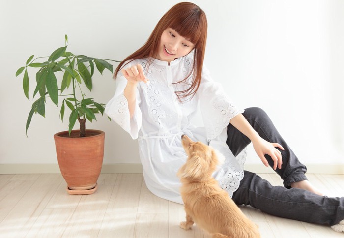 犬におやつをあげる女性