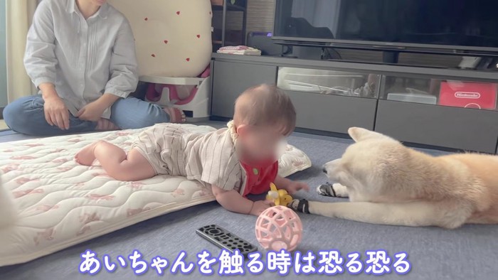 あいちゃんに手を伸ばします