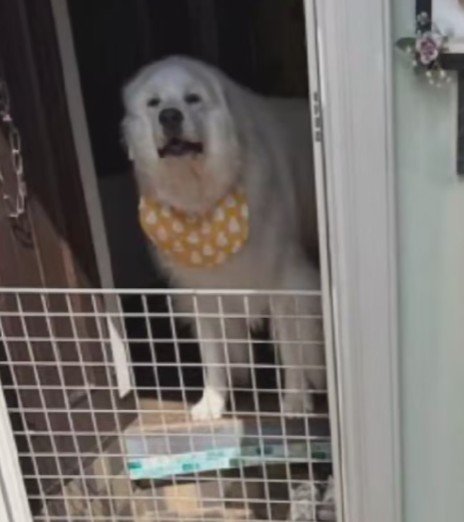 スタイが愛おしい…