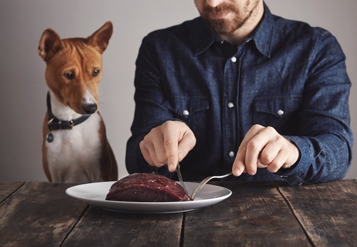 ナイフとフォークで肉を切る男性を見つめる犬