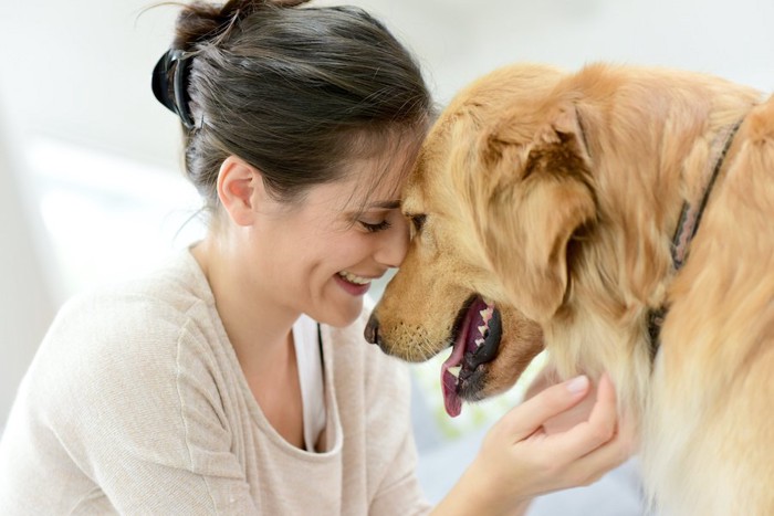 額を合わせる犬と女性