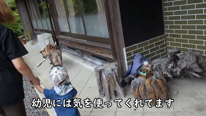 お家に入らず、ウロウロ…