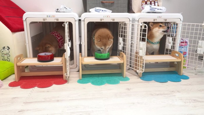 男の子の3人組