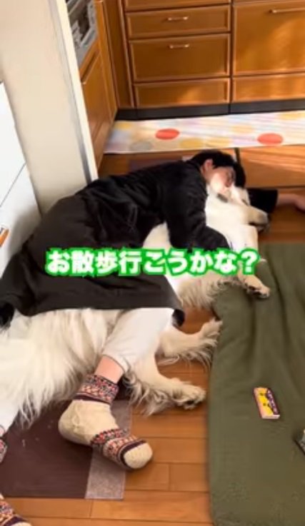 お散歩を提案するおじいちゃん