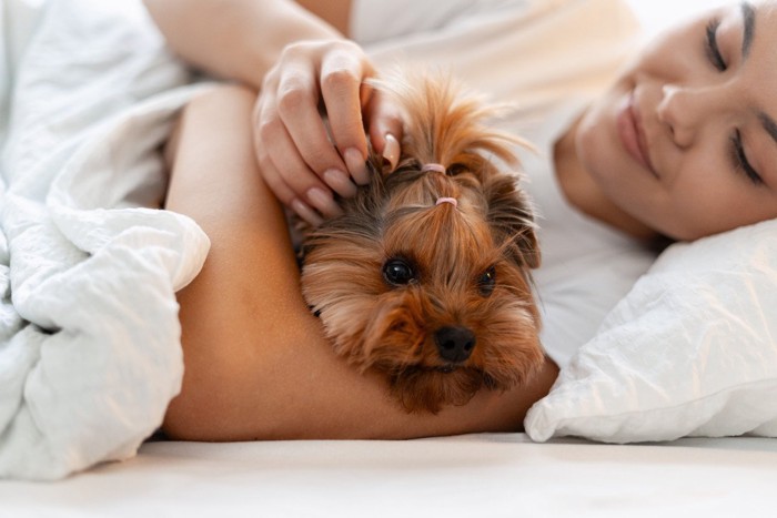 腕枕されている犬