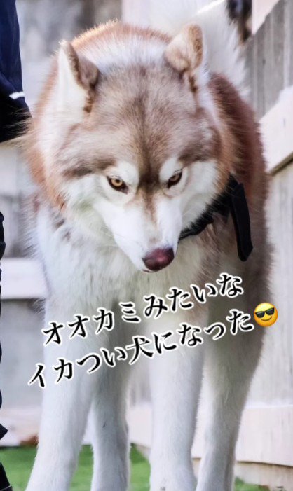 素敵な男子になったね♡