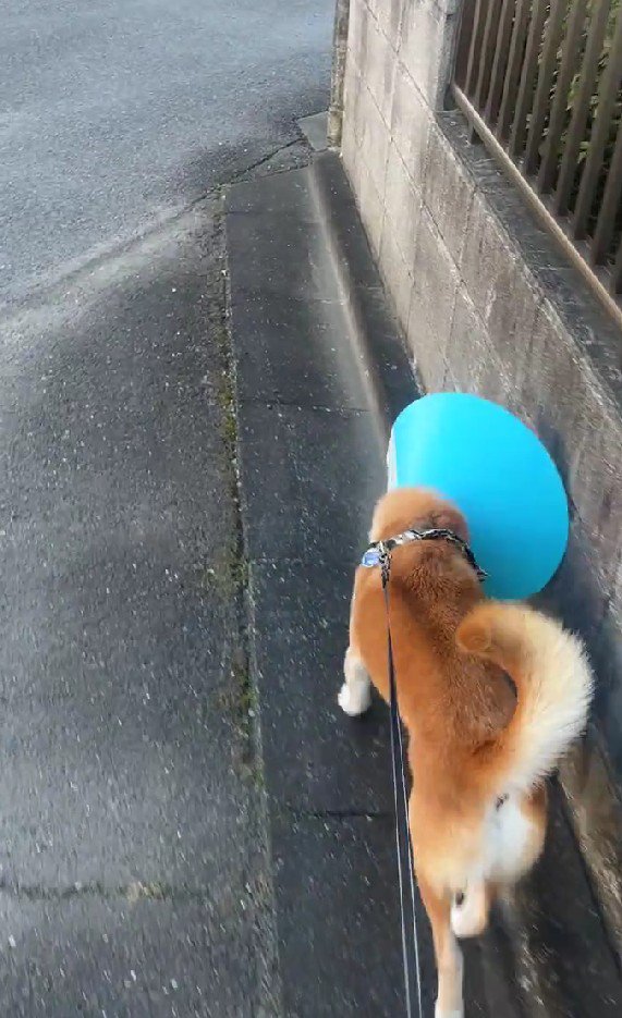 ん…？