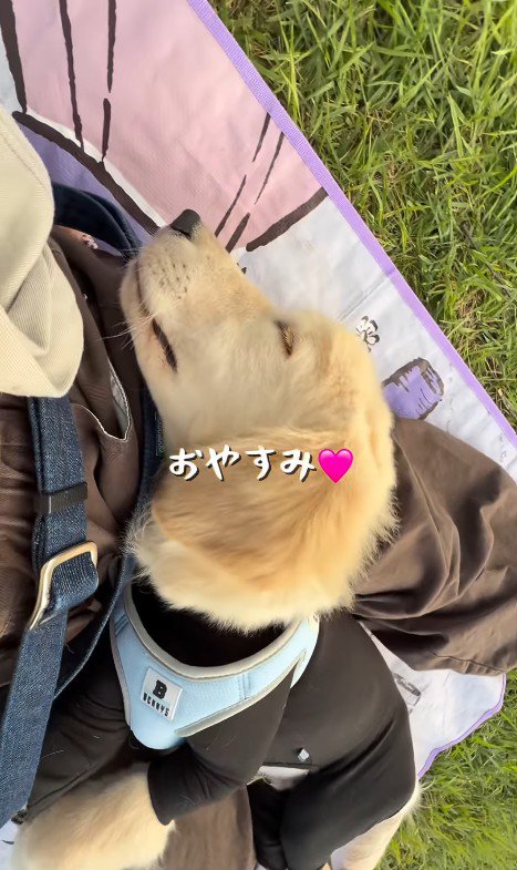 赤ちゃん感が愛おしい♡