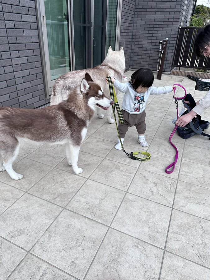 お散歩