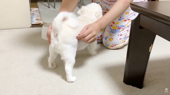 ママさんのそばへ