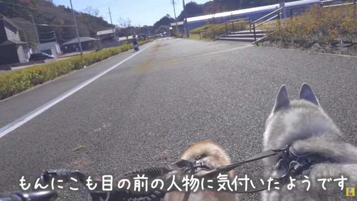 前方からママと赤ちゃんが来るも…