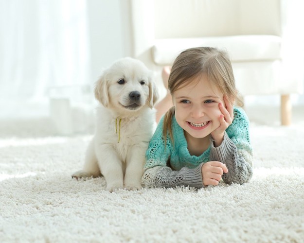 笑顔の女の子の横に座る子犬