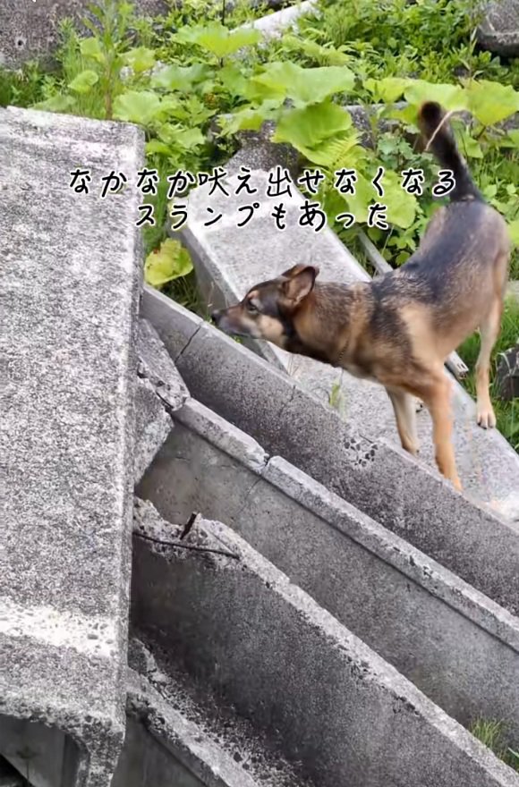 スランプのまる君