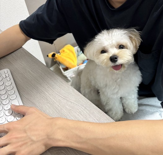 ニコニコ