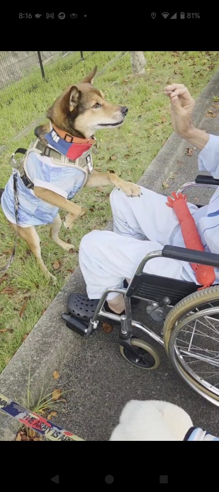 入院中