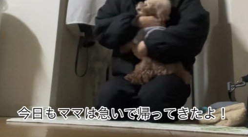 ちびちゃんのお出迎え4