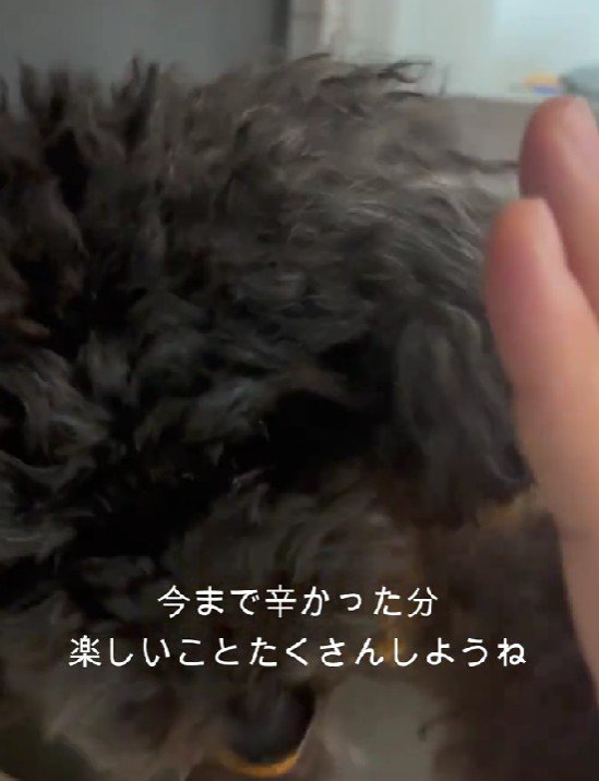 これからは幸せが待ってるね