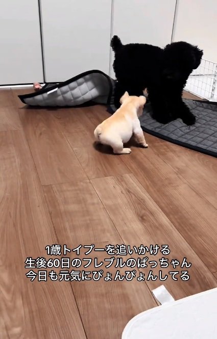 お尻がかわいいぱっちゃん