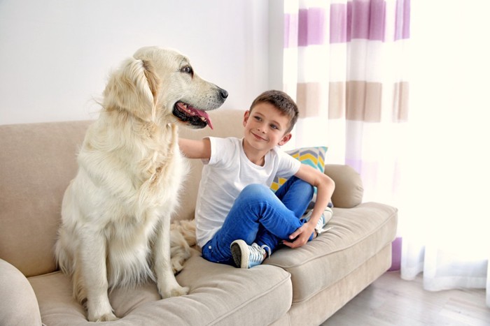 ソファーに座る子どもと犬