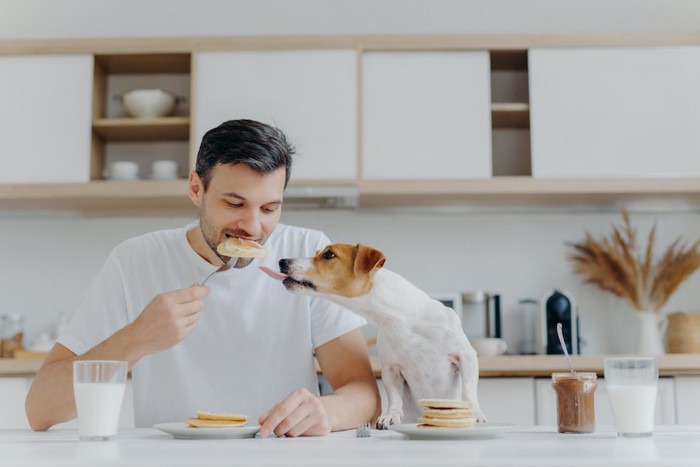 食事中の男性に近づいて舌を出す犬