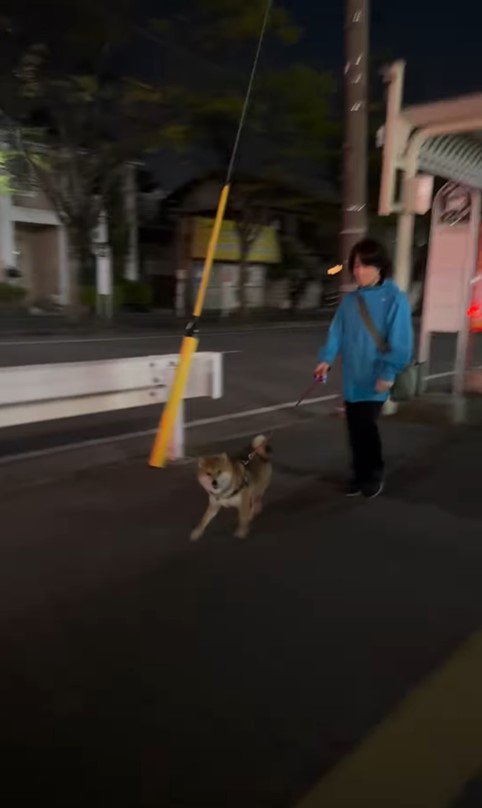 はちちゃんにドッキリを仕掛けた時の反応3