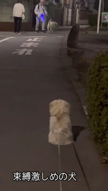 「もうそろそろいいんじゃない？」