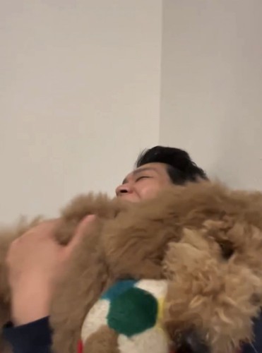 撫でられる犬