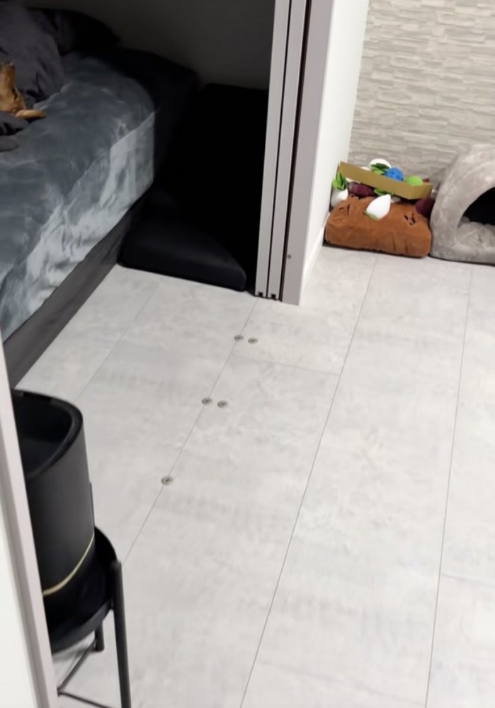 ベッドに誰かいる…！