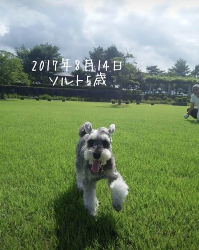 楽しそうな笑顔が全開