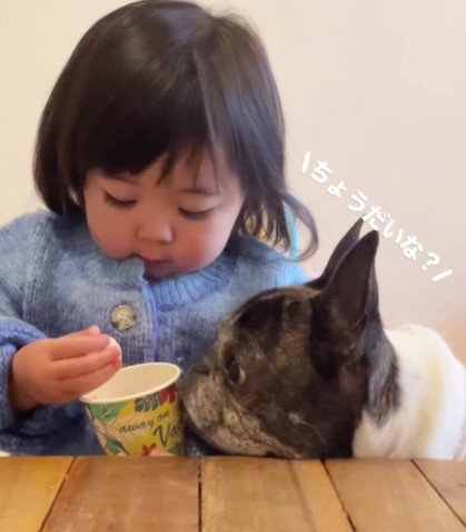 丸男ちゃんがおねだりするも…