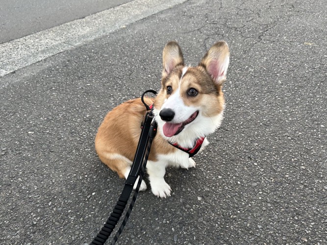ニコニコ笑顔