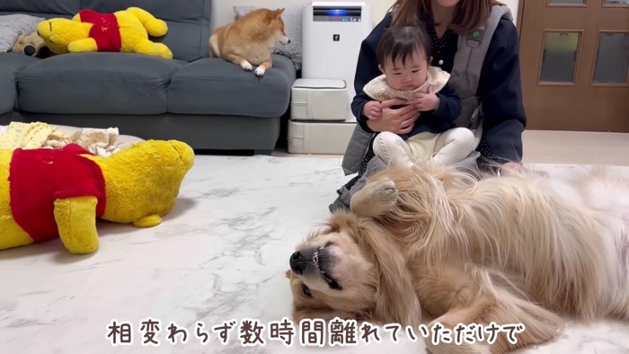 無事に帰ってきてよかった