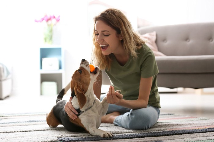 室内で女性と遊ぶ犬