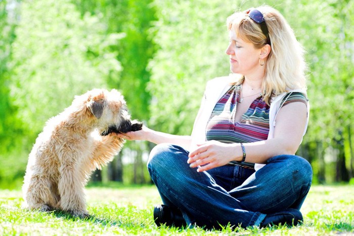 飼い主の手を触る犬